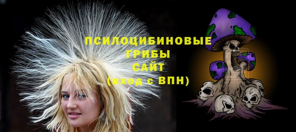крисы Алексин